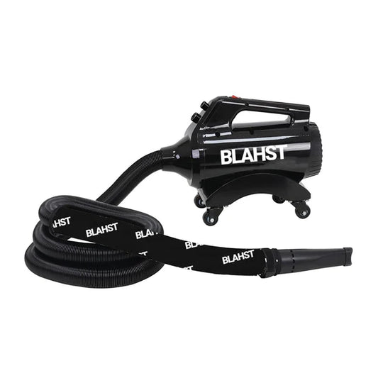 BLAHST - Air Maxx Dryer